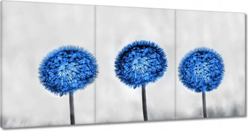 Vászonkép 180x90 Kék pitypangok