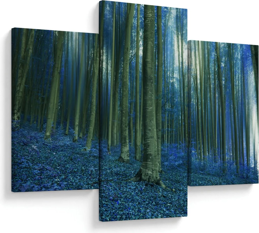 Kép - Kék erdő (90x60 cm)