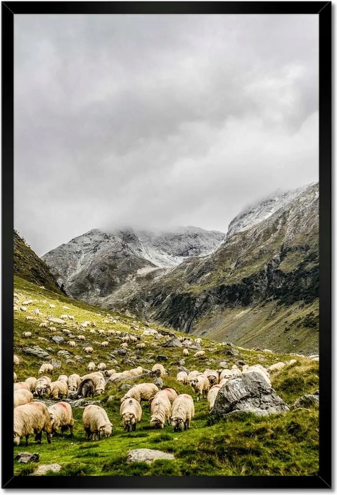 Poszterek keretben 40x60 Juh legeltetés Bárányok