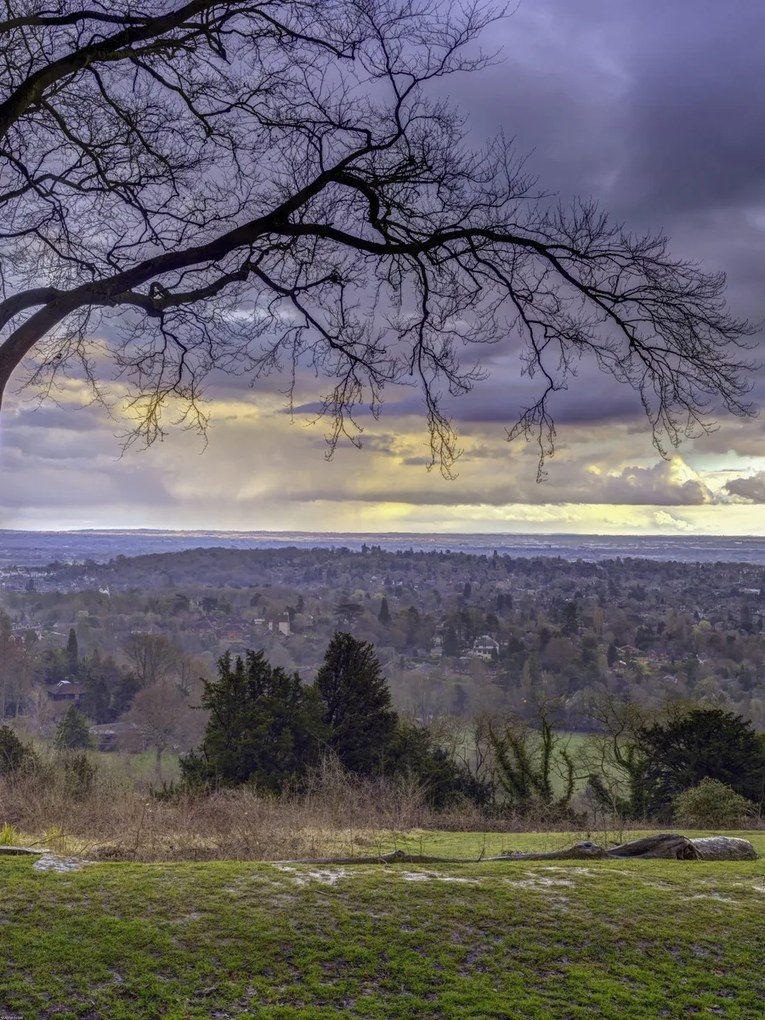 Poszter 60x80cm Reigate Hill 2, Assaf Frank