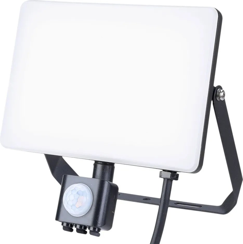 EKO LIGHT EKN9020 FLOODLIGHT Kültéri Reflektor Fekete LED IP44