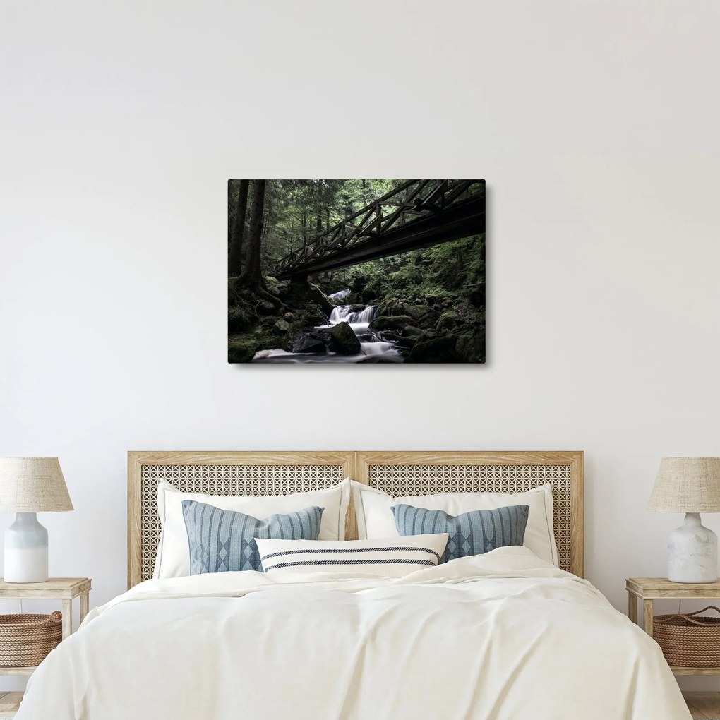 Fekete erdő képe (70x50 cm)