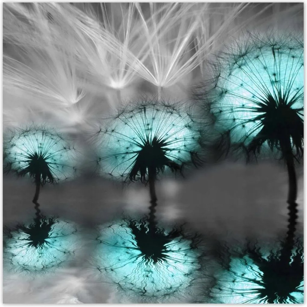 Poszterek 100x100 Türkiz pitypangok Víz