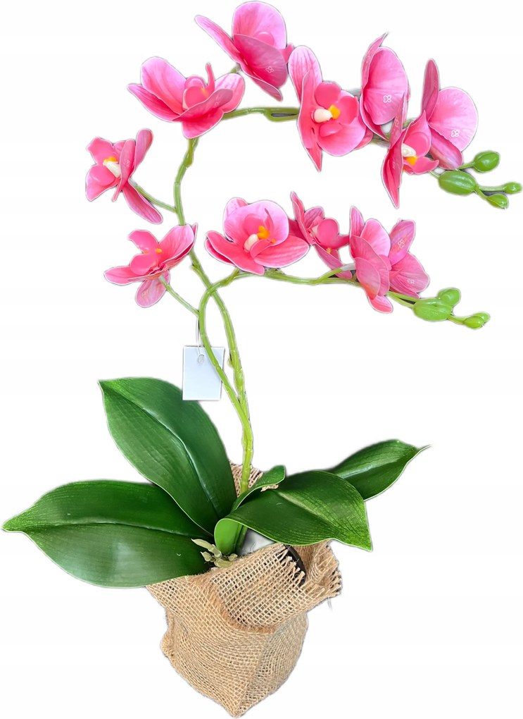 Orchidea cserépben művirág élő Nőnapi Ajándék 45 cm