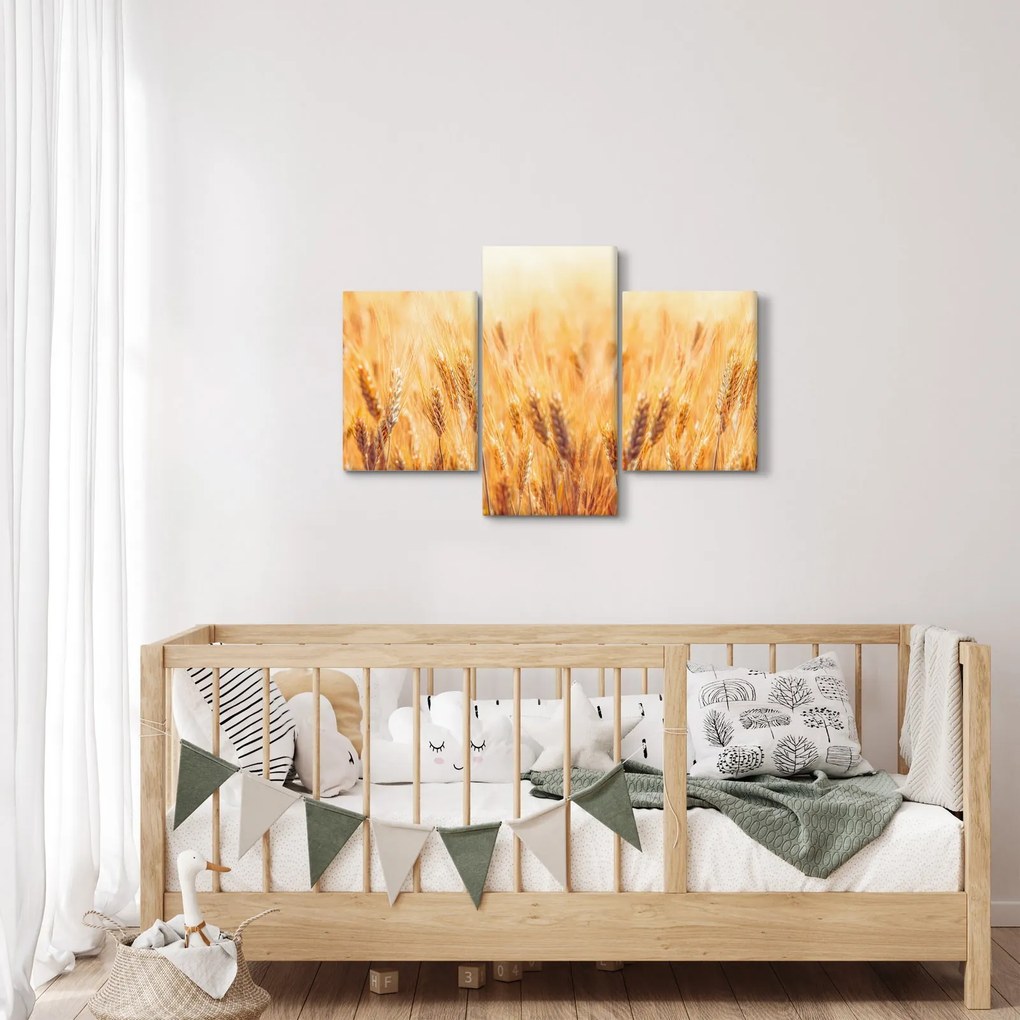 Kép - mező gabonával (90x60 cm)