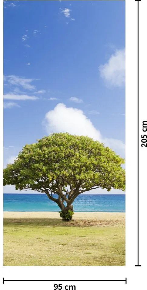 Fotótapéta ajtóra - Strand fával (95x205cm)