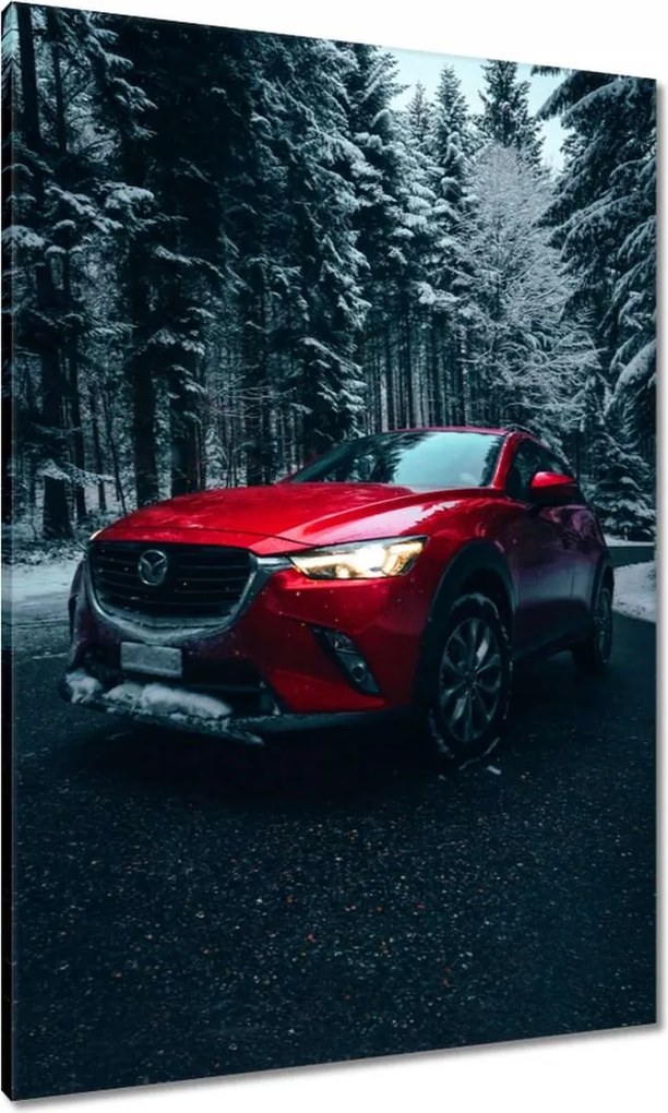 Vászonkép 70x100 Piros Mazda Autó