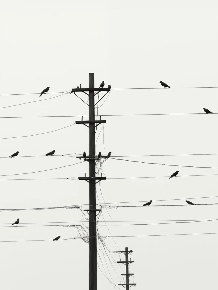 Poszter 30x40cm Szimfónia a drótokon