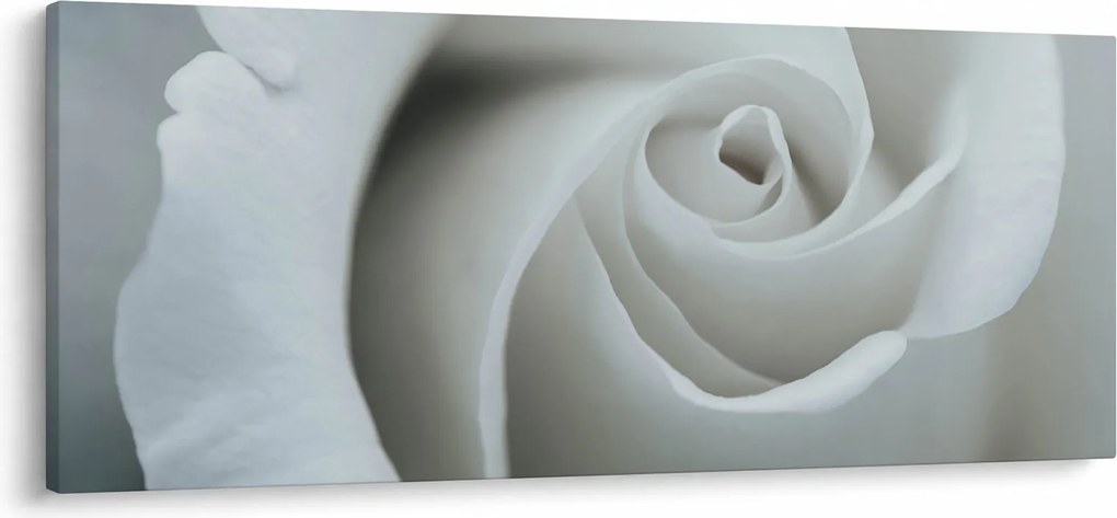 Kép - Fehér rózsa (120x50 cm)