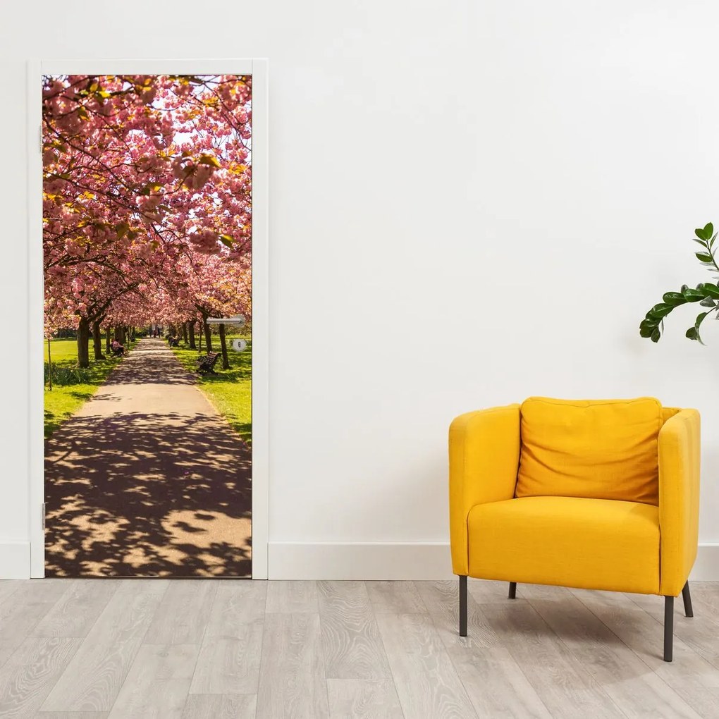 Fotótapéta ajtóra - Gyümölcsös cseresznye (95x205cm)