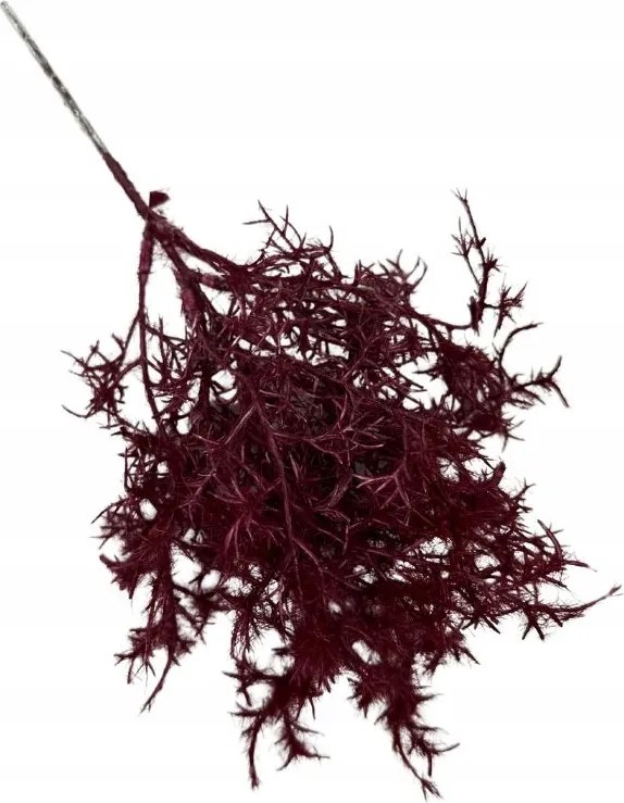 Szárított fű ág 28 cm bordó