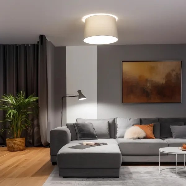 Brilagi - LED felületre szerelhető mennyezeti lámpa CERIA 1xE27/40W/230V Ø 45 cm szürke