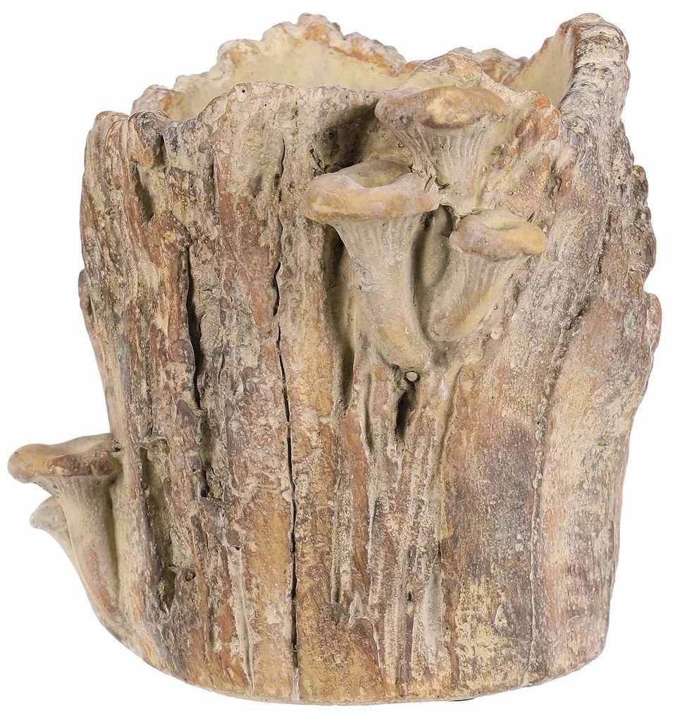 Beton burkolat - tusk with mushrooms, 20 x 18 x 18cm
