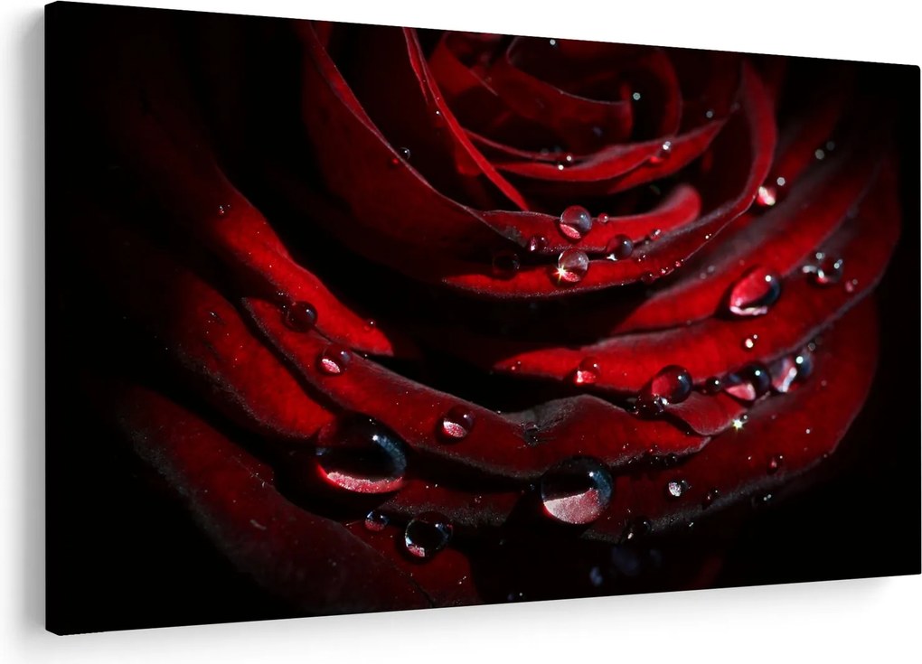 Kép - Rózsa részlete (90x60 cm)