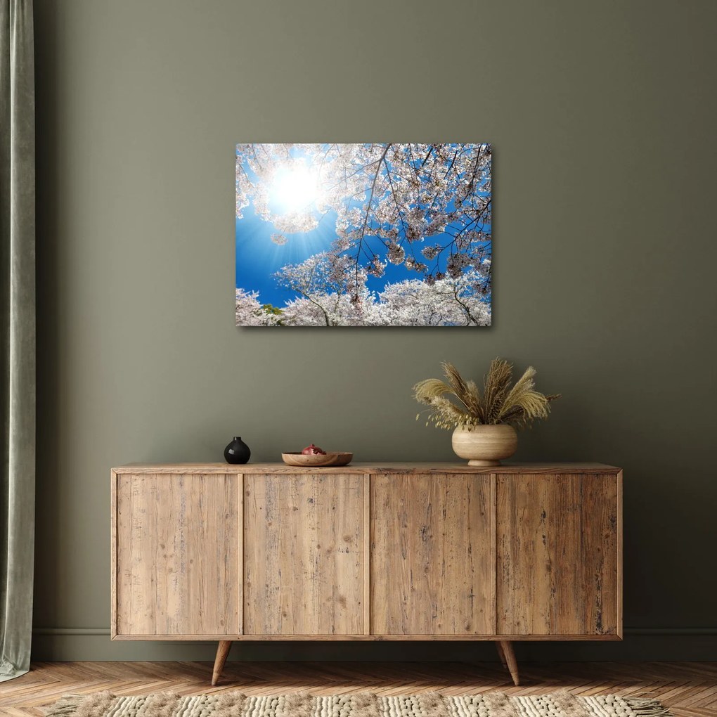Kép - Cseresznyevirág (70x50 cm)