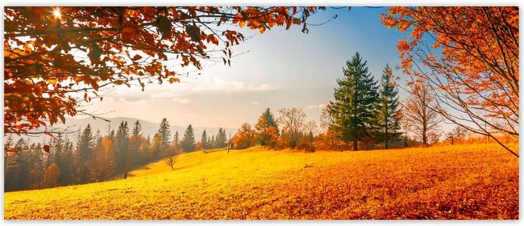 Fotótapéták 250x104 Őszi táj