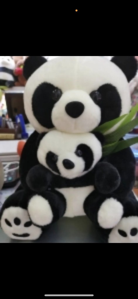 Koala maci plüss