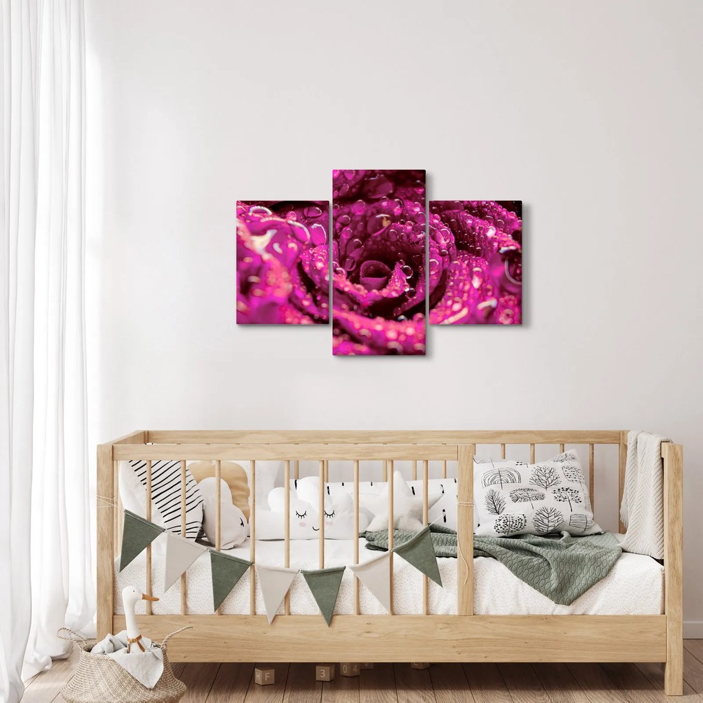 Rózsaszín rózsa virágzata képe (90x60 cm)