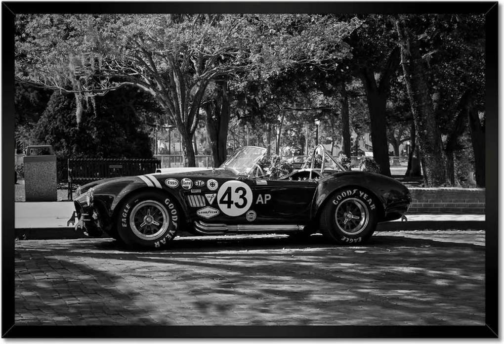 Poszterek keretben 60x40 Shelby