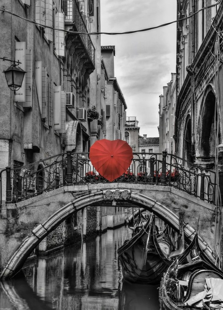 Poszter 39,5x55cm Szív alakú esernyő a hídon, Assaf Frank