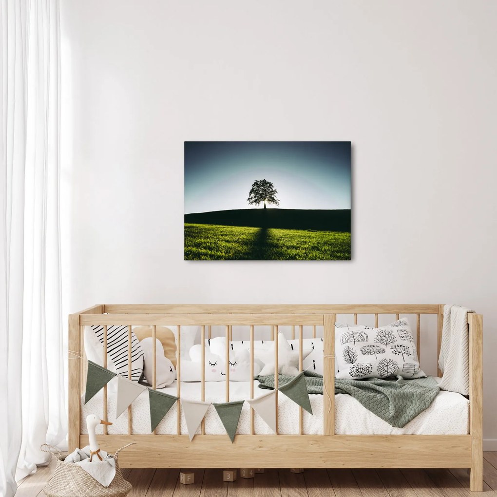 Természet kép - fa (70x50 cm)