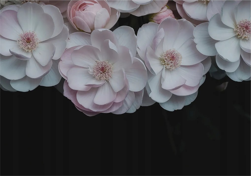 Divatos 3D Fali Tapéta Finom csokor 312x219 Ragasztóval