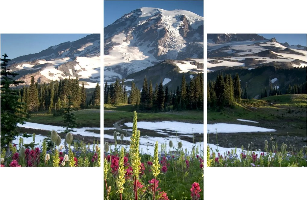 Kép - Mount Rainier (90x60 cm)