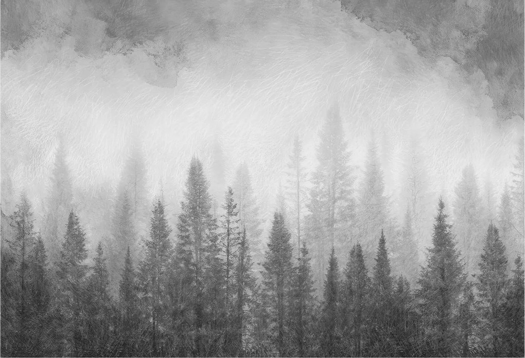 Flizelin fotótapéta Flizelin Designer Erdei köd 152x104 Ragasztó