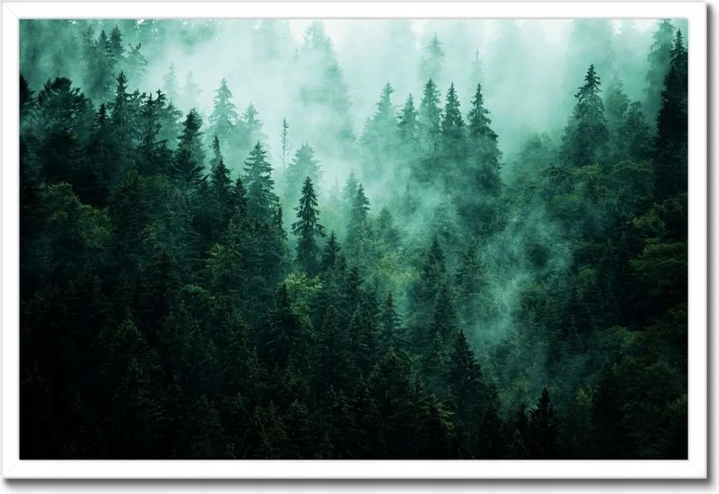 Poszter fehér keretben 60x40 Erdő Köd Tájkép Utazás