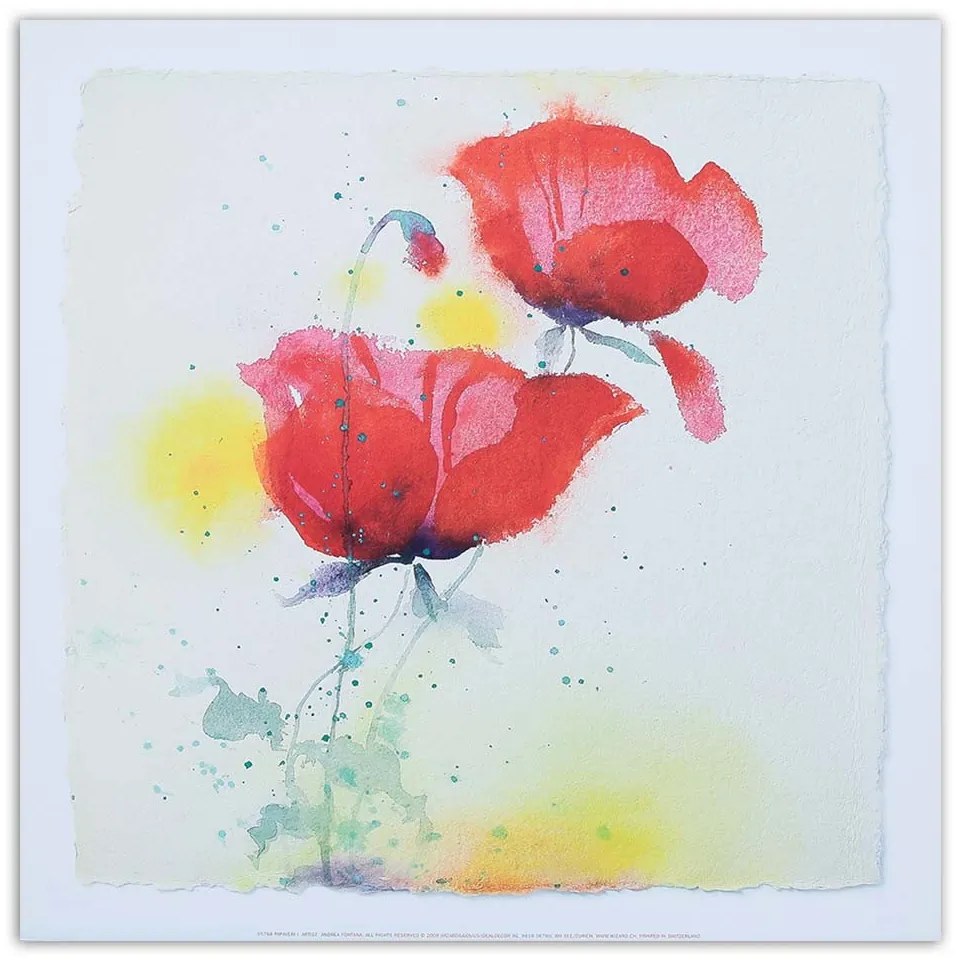 Gario Vászonkép Mint a kézzel festett két pipacs Méret: 30 x 30 cm