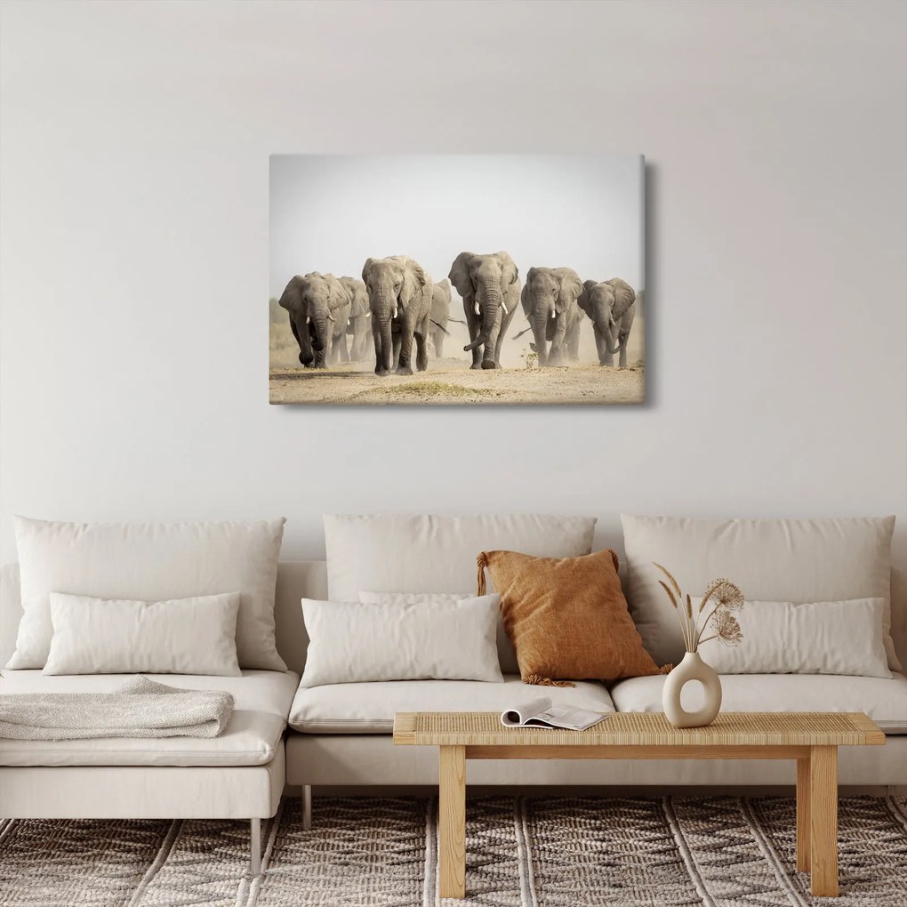 Kép - Elefántcsorda (90x60 cm)