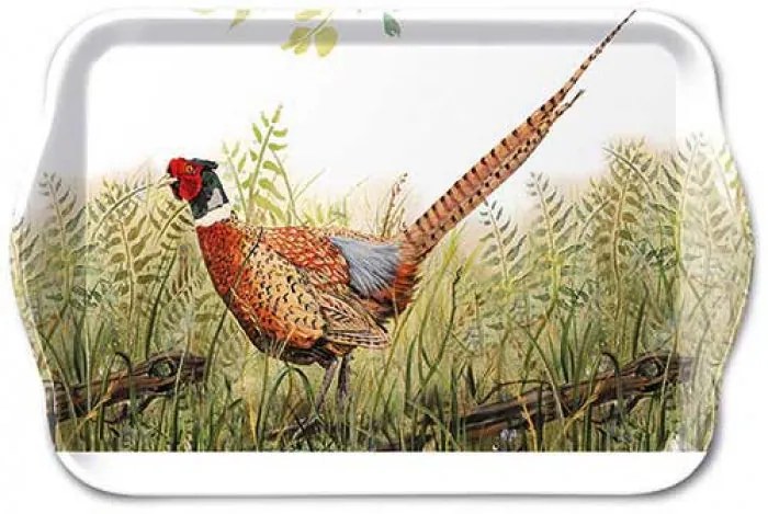Műanyag konyhai szervírozó kis tálca 13x21 cm dicsőséges fácán