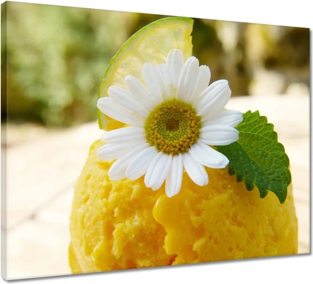 Vászonkép 50x40 Gyümölcsös sárgabarack fagylalt