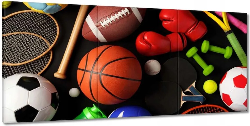 Képek 210x100 Sportfelszerelés Labdák Rakéták