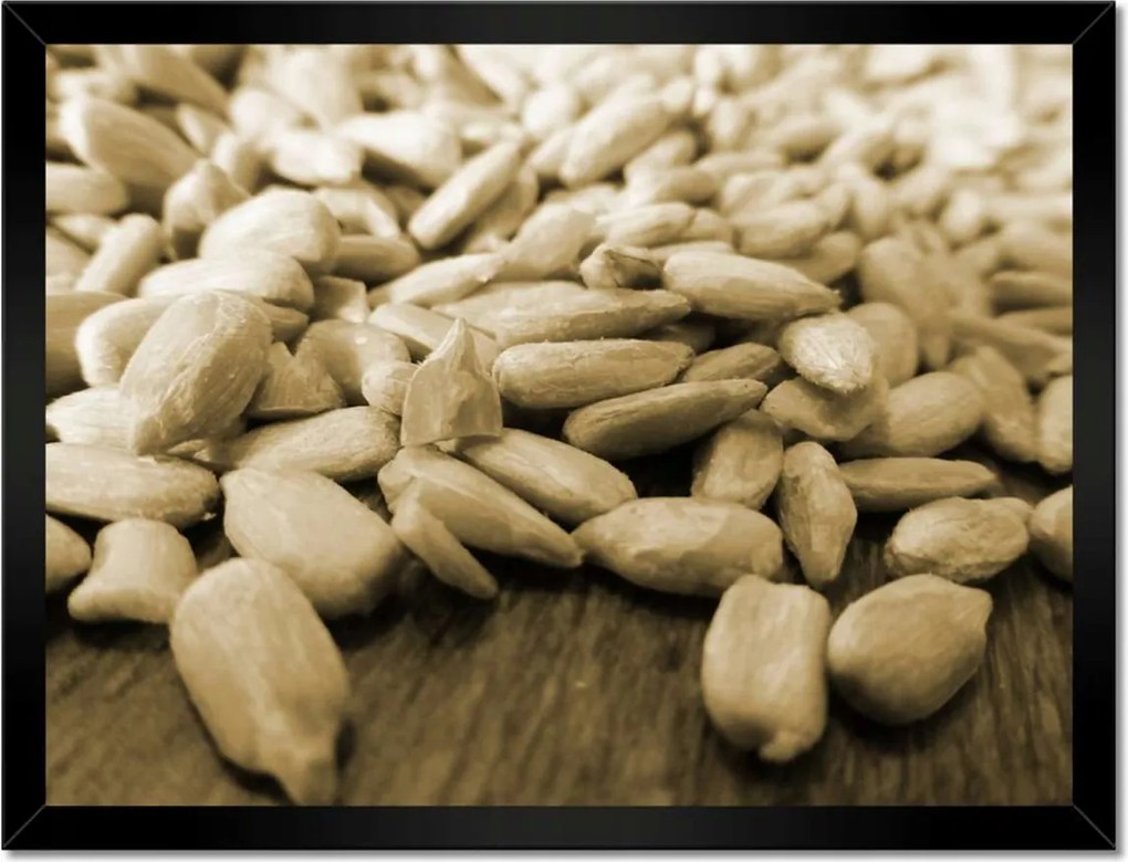 Poszter keretben 40x30 Hántolt napraforgó