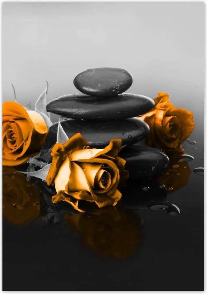 Poszterek 70x100 Narancssárga rózsa Spa