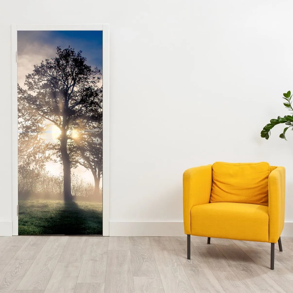Fotótapéta ajtóra - Fa a ködben (95x205cm)