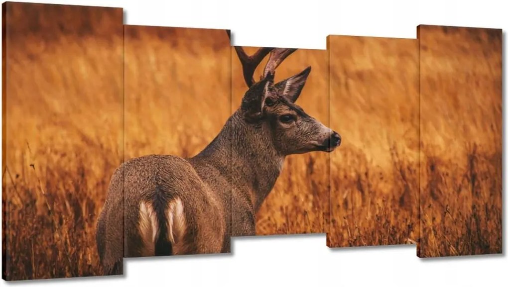 Festmények 150x80 Szarvas a természetben Vadászat