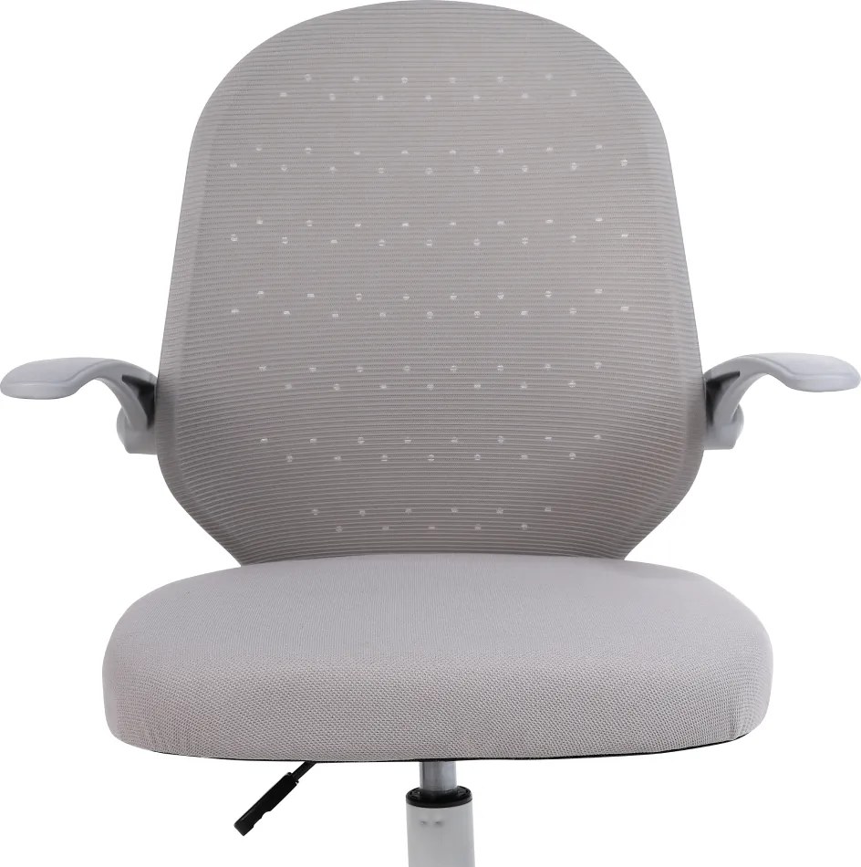 Irodai szék, szürke/fehér, PASTURA