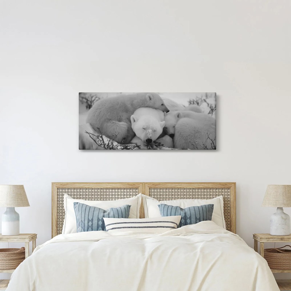 Kép - Jegesmedvék, fekete-fehér (120x50 cm)