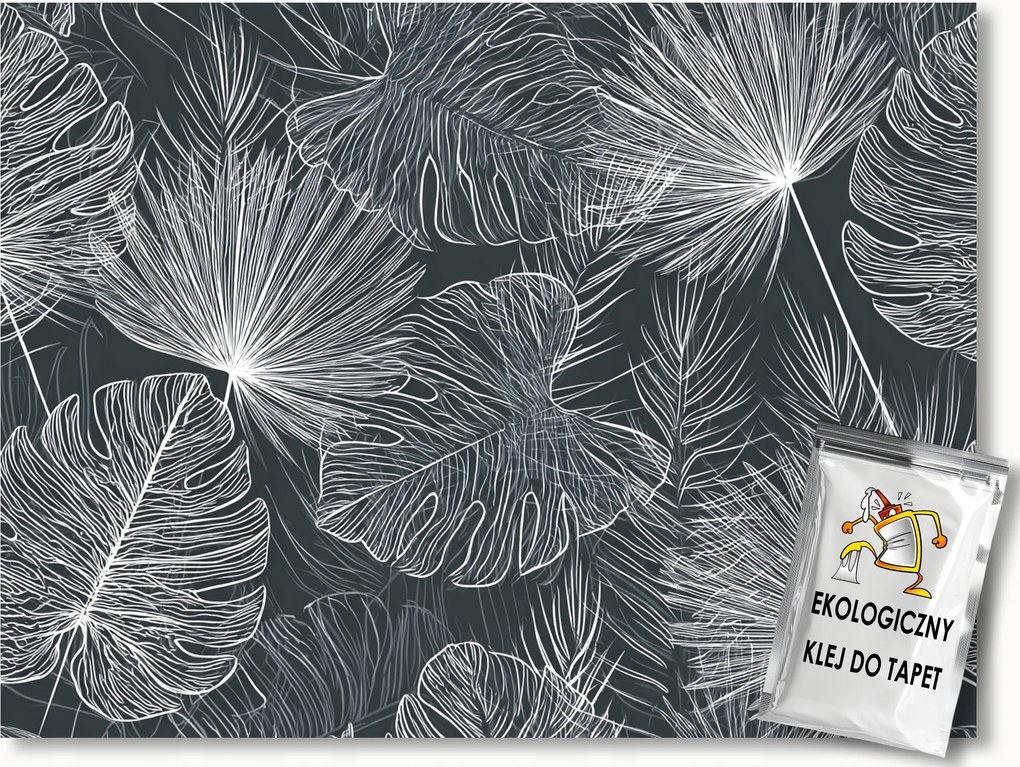 Fotótapéta Flizelina Grafika Növények Levelek Monster Pálma 208x146 ragasztó