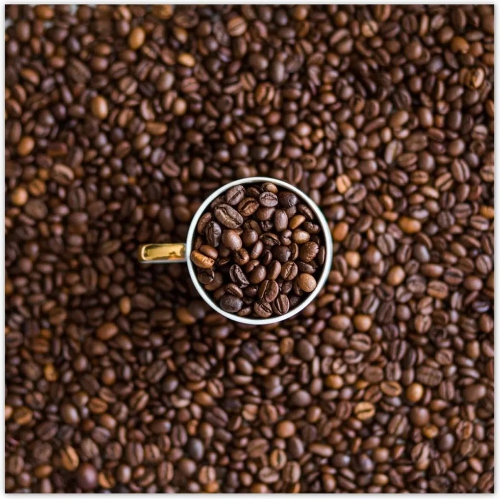 Poszterek 100x100 Kávébab