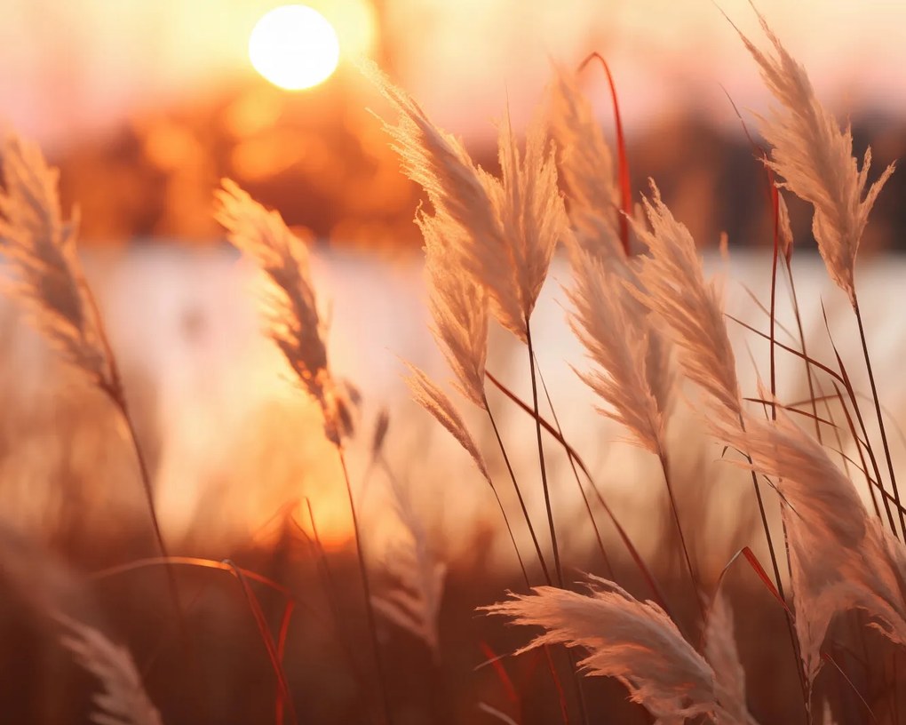 Poszter 50x40cm Arany Nyugat