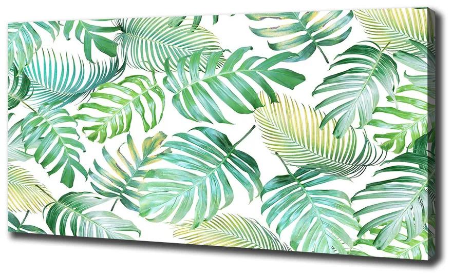 Fali vászonkép Trópusi levelek pl-oc-140x70-f-147218411