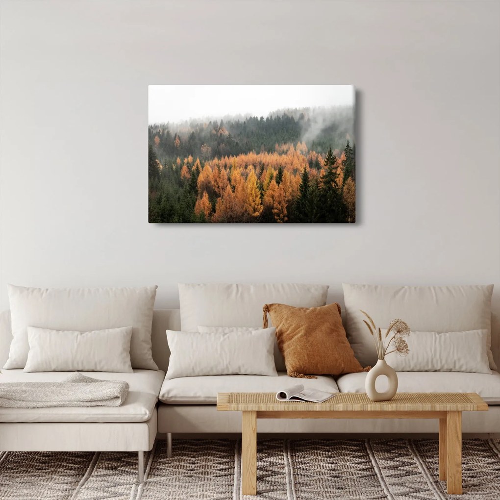 Kép - őszi erdő (90x60 cm)