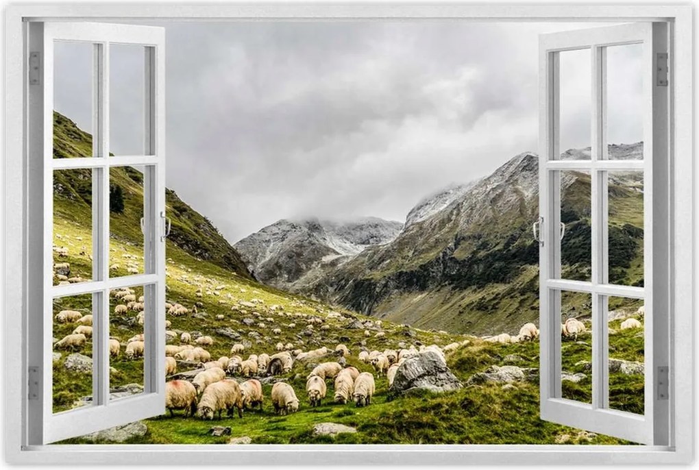 Poszterek 60x40 Juh legeltetés Bárányok