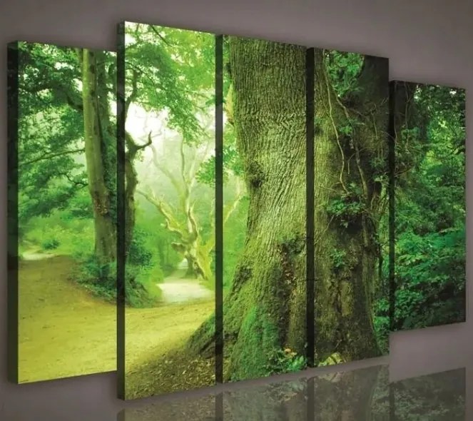 Vászonkép 150x100 Zöld erdő ösvény fák természet nyugalom csend zöld