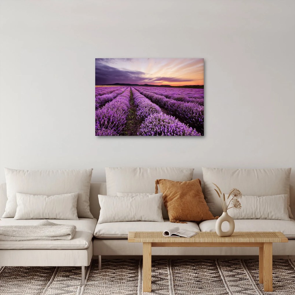 Kép - Levendulamező naplementében (70x50 cm)