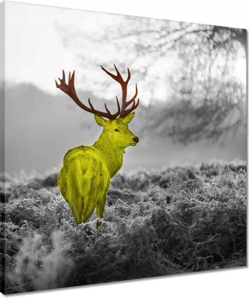 Vászonkép 50x50 Sárga szarvas Erdő Tájkép