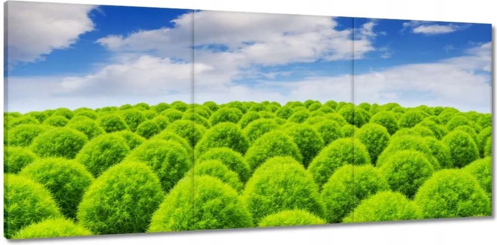 Vászonkép 150x70 Zöld tekintet Völgy